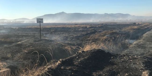 Ràfegues de fins a 50 kilòmetres per hora han dificultat les tasques d'extinció.