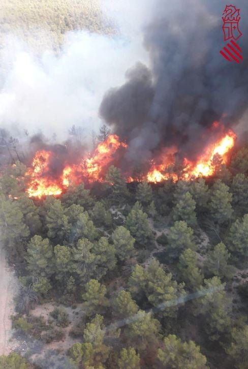 Segons ha informat Aemet, l'estació meteorològica propera a les flames marca 40 graus.