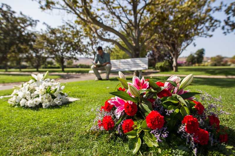 El complex funerari celebrarà l'1 de novembre diverses activitats per a commemorar el dia de Tots Sants.