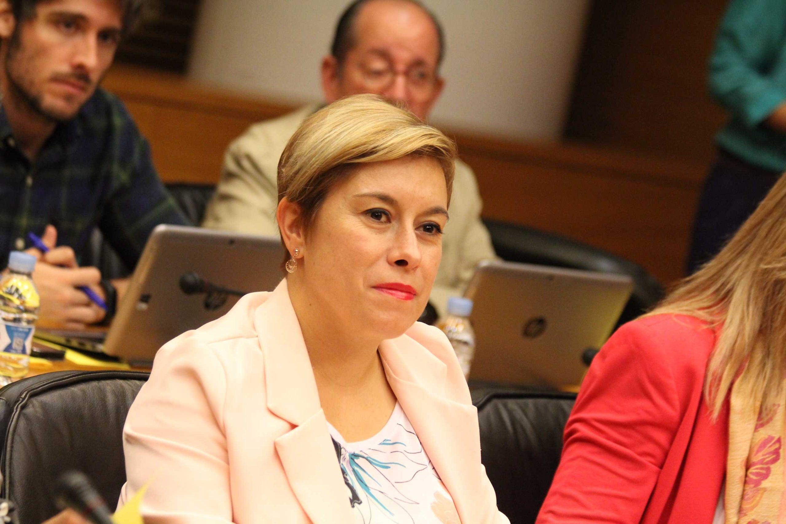 La diputada de Cs, Merche Ventura, durant una sessió de la comissió d'Educació de les Corts.
