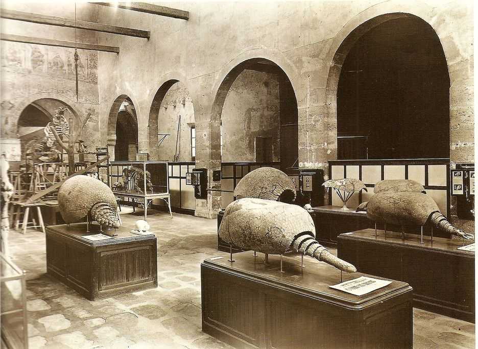 Museu de Ciències Naturals de València