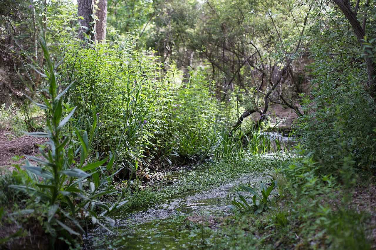 Els investigadors van constatar evidències d'una xarxa d'alqueries, cases de camp i viles romanes que formaven un complex sistema de poblament rural caracteritzat per diversos tipus d'assentaments en la capçalera del Vinalopó.