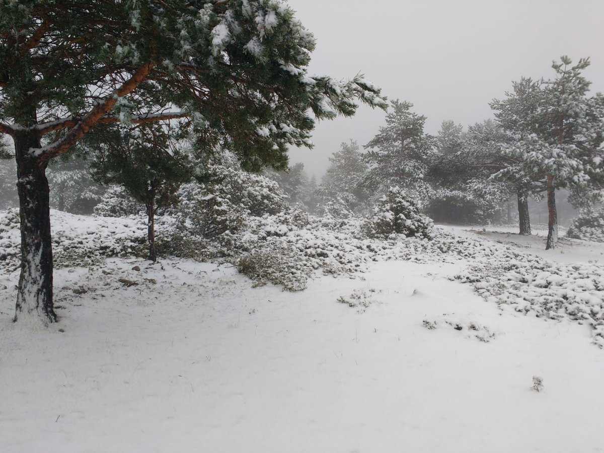 Fotografia de la Pobla de Sant Miquel enviada a l'Aemet per col·laboradors de la zona.