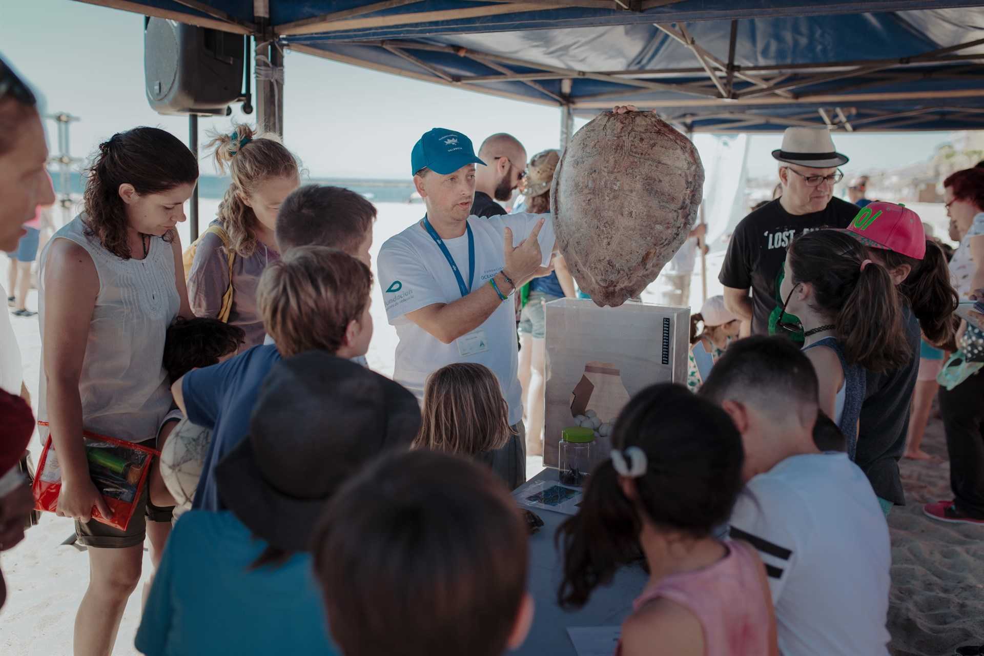 La Fundació Oceanogràfic disposarà de dues zones d'exposició.