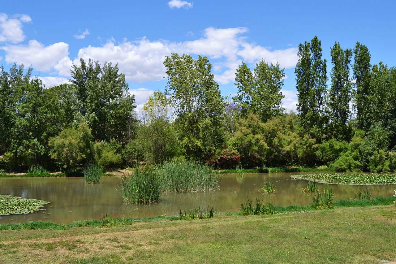 Aquest dissabte no es podrà accedir als parcs i jardins de València que tenen una tanca al voltant. En la imatge, el Parc de la Rambleta.