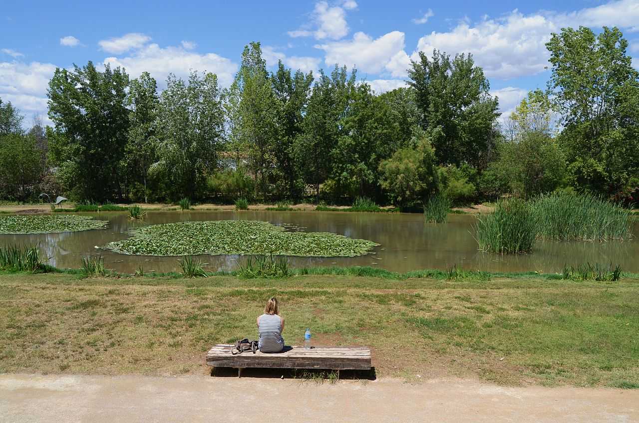 El Parc de la Rambleta està concebut com un oasi de natura dins d'un entorn urbà.