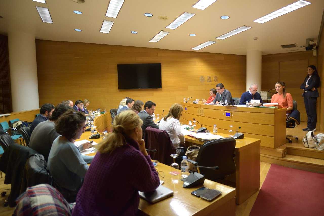 Els populars reclamaven en una de les iniciatives retirar les ajudes directes per valor d'uns 600.000 euros