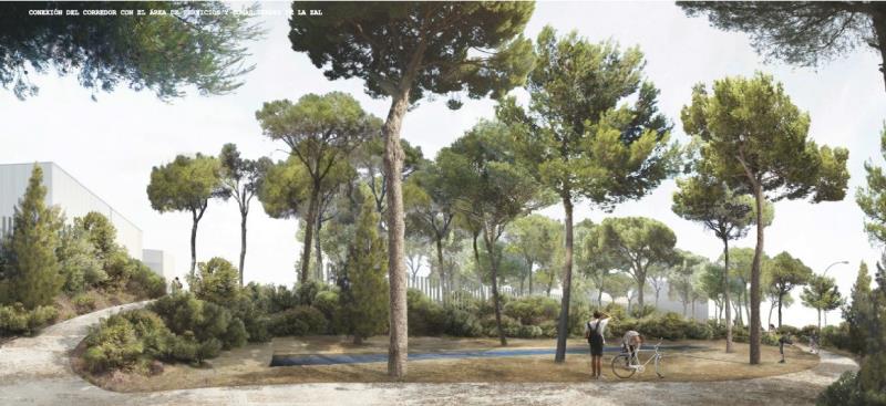 Dins de les millores paisatgístiques, es preveu introduir nou arbrat i vegetació al carril bici de la ZAL per convertir-lo en 'un autèntic corredor verd'.