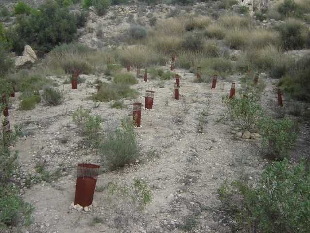 Els sistemes de projecció de substrat consisteixen a llançar sobre la superfície cremada una mescla de fibres de fusta, llavors i altres components que afavoreixen el desenvolupament de vegetació i la regeneració del sòl.