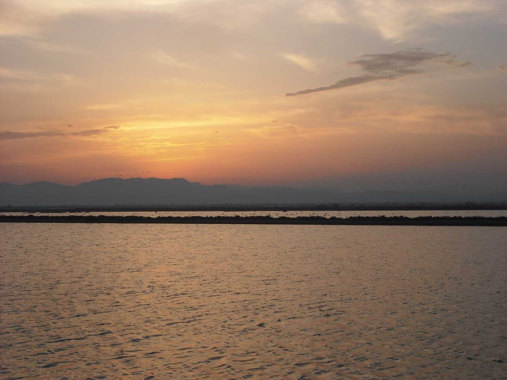 El Parc Natural de les Salines de Santa Pola és una de les 48 zones humides catalogades al País Valencià.