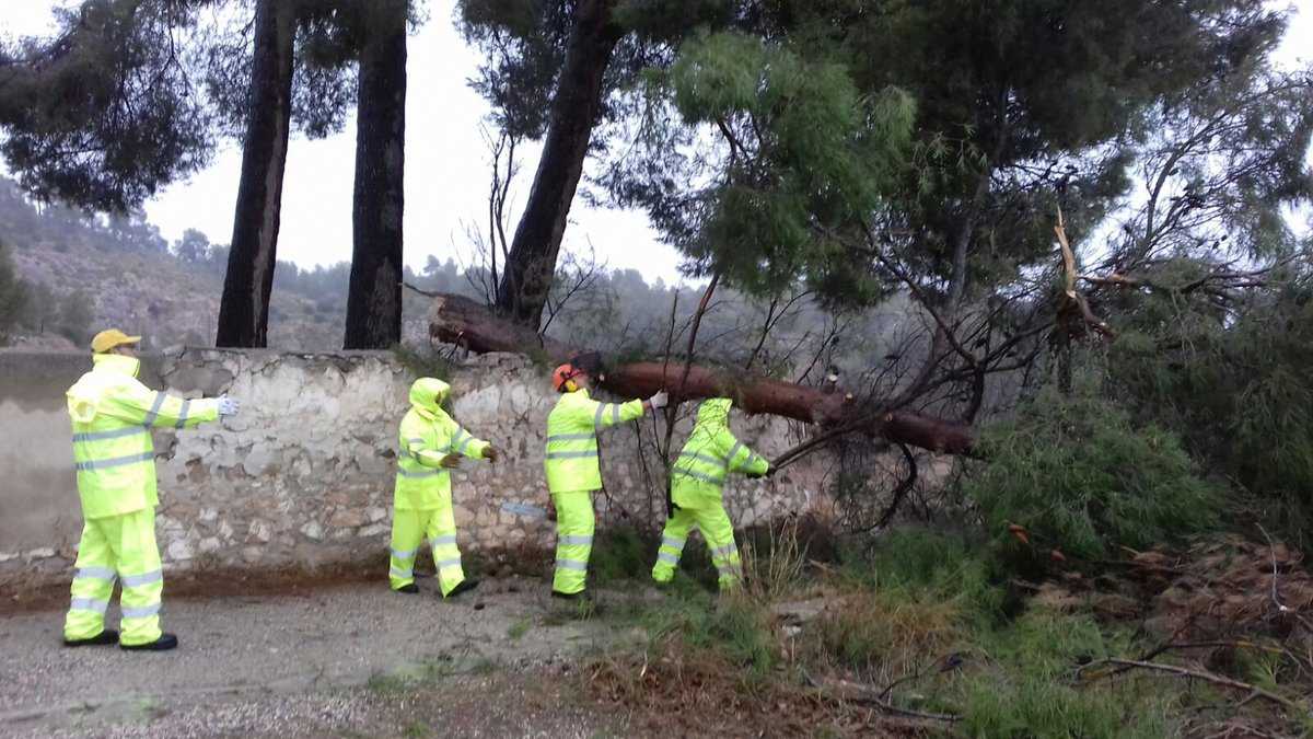 Consorci Provincial de Bombers de València ha hagut d'actuar en 23 emergències