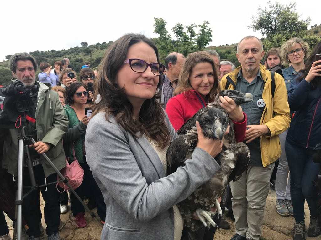 L'alumnat de les escoles de la Pobla i Rosssell han batejat les cries amb els noms d'Ós i Amic.