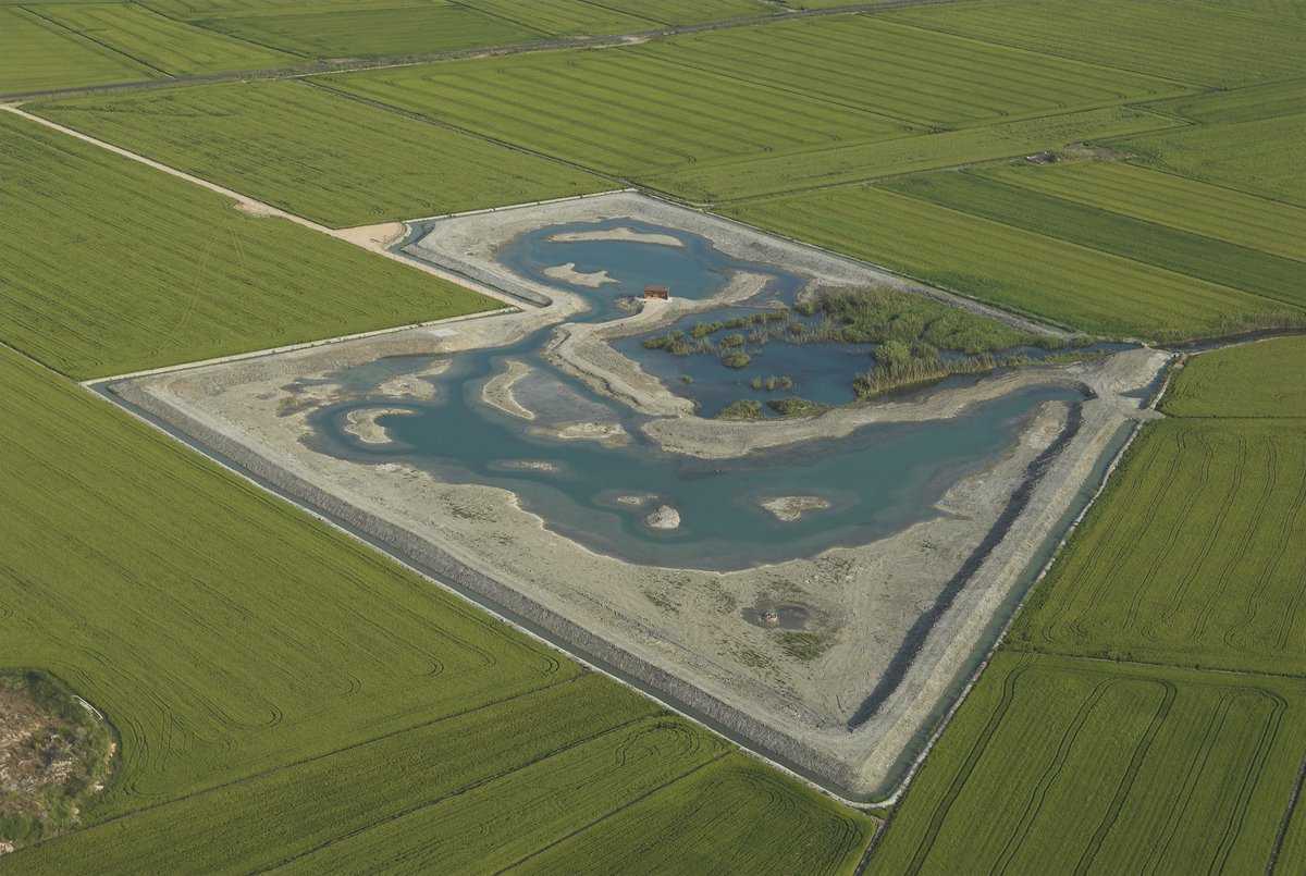La Generalitat conclourà durant aquest mes de novembre les actuacions d'adequació de l'Ullal de Baldoví, situat al Parc Natural de l'Albufera.