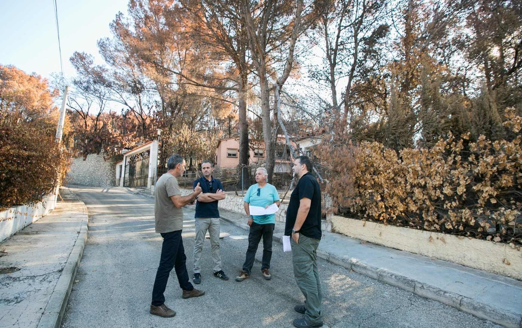 L'empresa pública Tragsa és l'encarregada dels treballs postemergència que han començat aquest dilluns en les zones afectades per l'incendi forestal a Gandia.