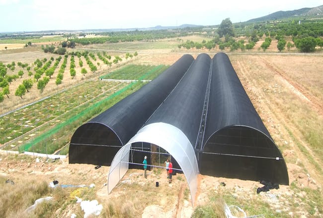 El pare de Raquel Hernández va ser qui va tindre la idea de muntar la granja de caragols.