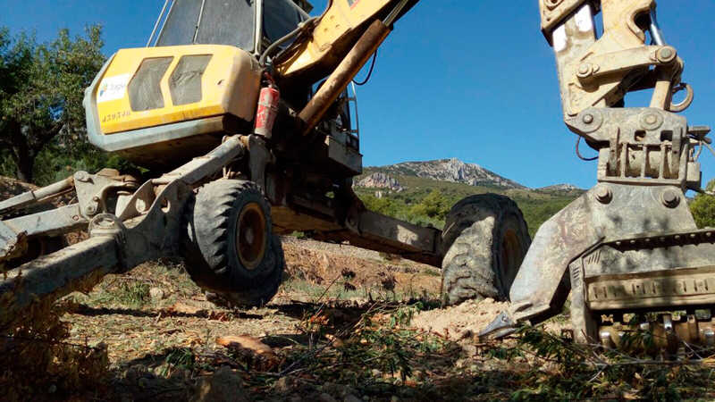 Màquina de Tragsa dins d'una finca del Castell de Guadalest afectada per la plaga.