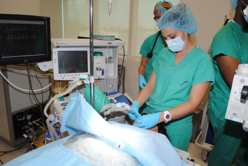 La llei valenciana contradeia la normativa legal. / EFE