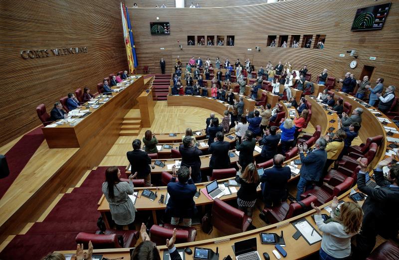 Ciutadans és l'únic grup parlamentari que no ha donat suport a la reforma estatutària. / EFE