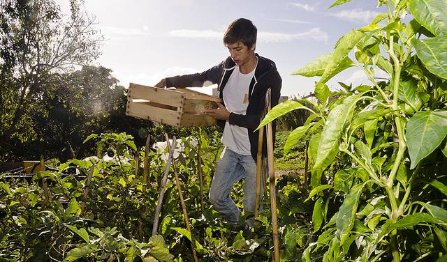 Les reividicacions de les associacions agràries valencianes passen pel fet que la nova PAC solvente les deficiències de la que ara està en vigor. / DIARI LA VEU  