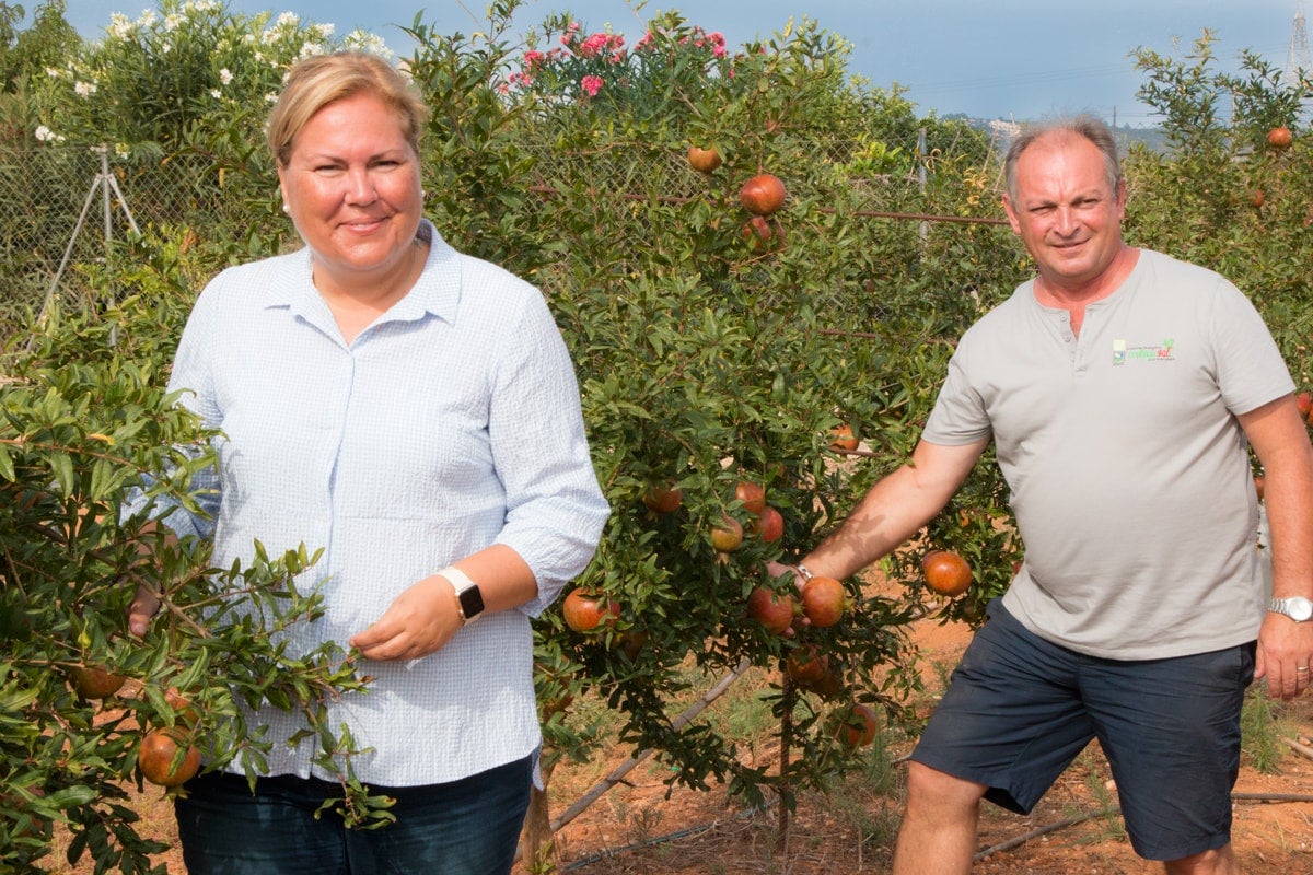 Ecologicval és l'únic productor de magrana ecològica d'Europa. / ECOLOGICVAL