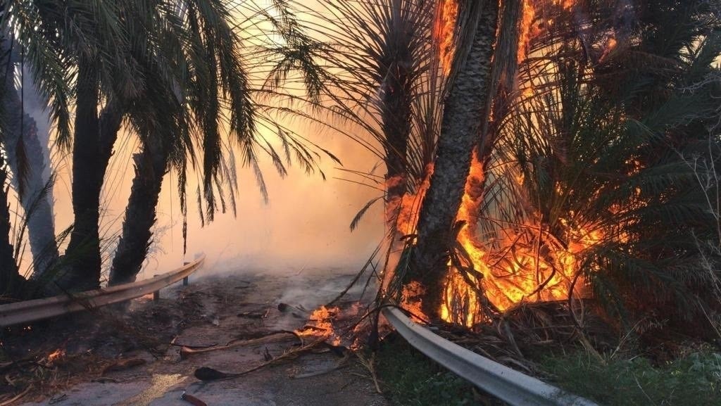 Encara es desconeixen les causes de l'incendi. / BOMBERS D'ALACANT