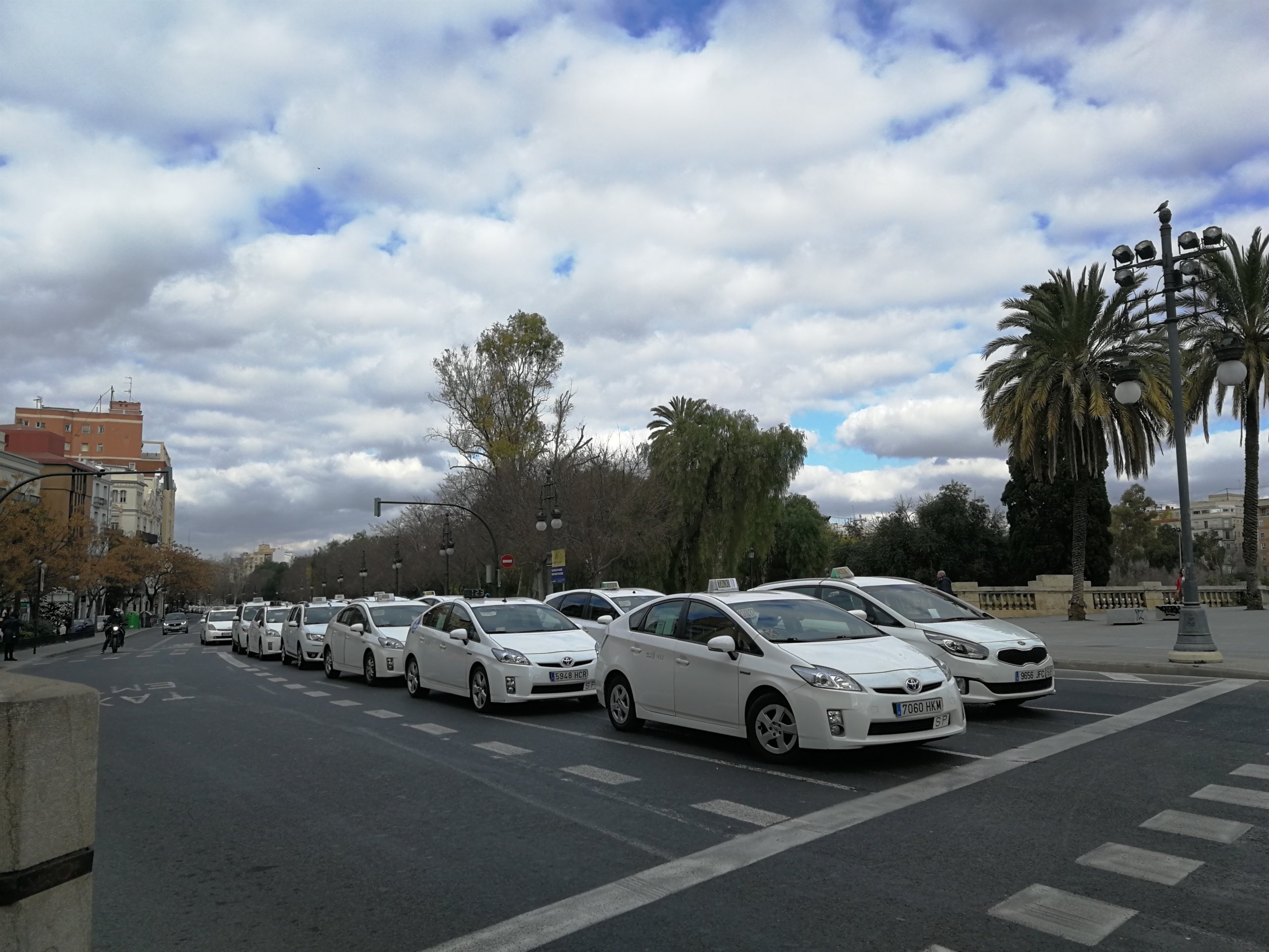 Filera de taxis a València. EP
