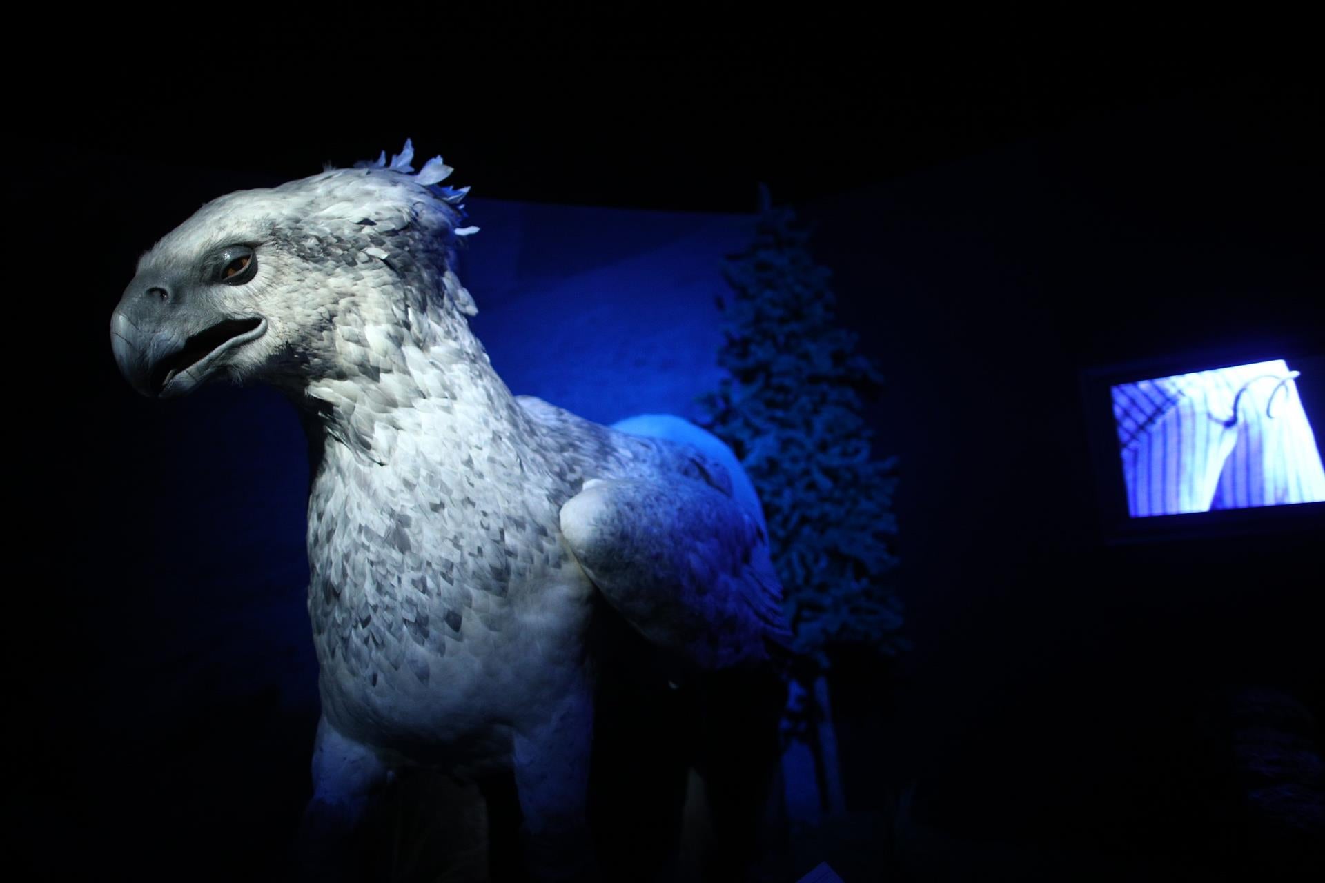 La mostra aplega 1.500 metres quadrats de recreacions cinematogràfiques. / EUROPA PRESS