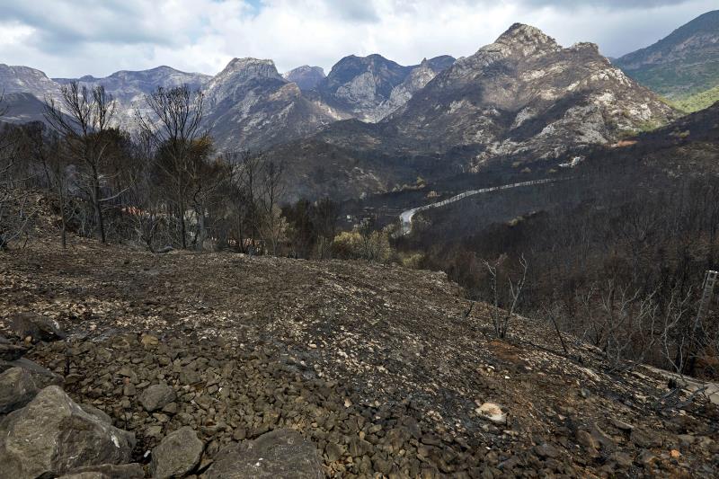 L'incendi que va calcinar més de 3.000 hectàrees a Llutxent i municipis veïns l'agost del 2018. / EFE