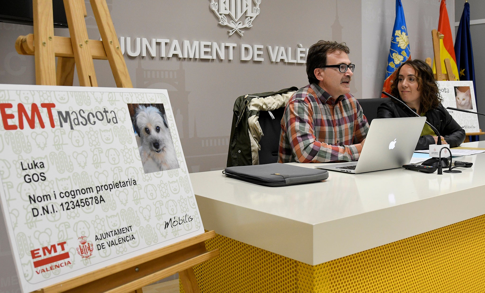 El reglament  tornarà al ple de l'Ajuntament després de l'exposició pública per a la seua aprovació definitiva. Imatge d'arxiu. / AJUNTAMENT DE VALÈNCIA