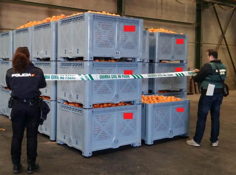 La Policia autonòmica ha alçat també dues actes per tinença d'armes, huit d'estupefaents i dotze de seguretat del trànsit. / EFE