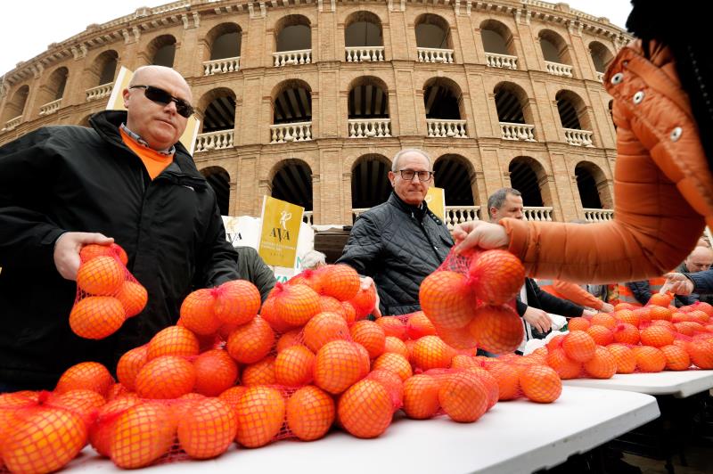 El sector citrícola tornarà a reunir-se amb el Ministeri en abril. / EFE