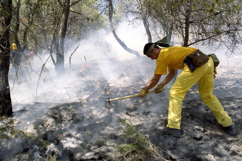 El foc ha quedat controlat sobre les 7.30 hores del matí d'aquest dissabte. Imatge d'arxiu. / EFE