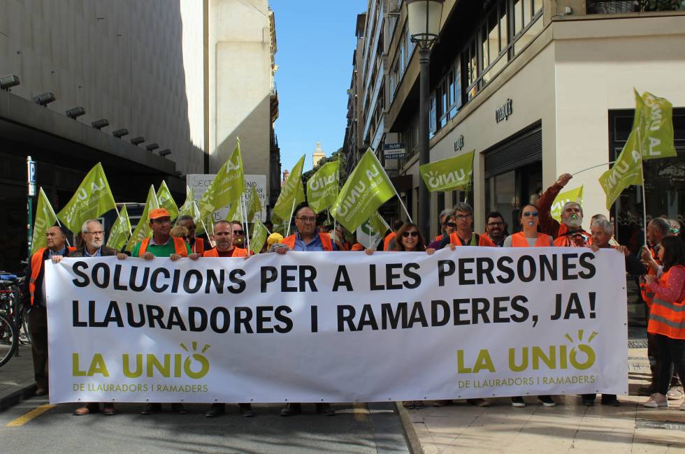 Els agricultors i ramaders de La Unió van protestar aquest dijous davant la delegació del govern espanyol. / LA UNIÓ DE LLAURADORS