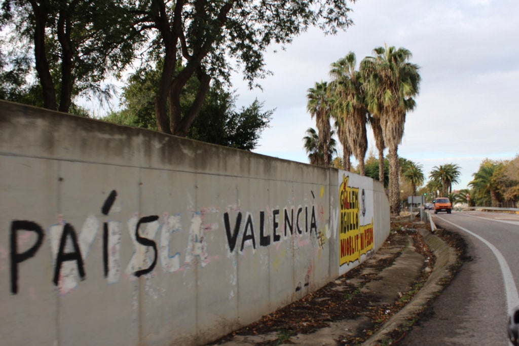 El mur a l'entrada d'Albalat de la Ribera acull sovint diverses pintades relacionades amb els moviments polítics nacionalistes. El mural dedicat a Guillem Agulló és relativament recent. / DIARI LA VEU 