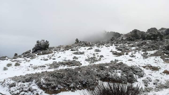 La cota de neu se situa aquest 20 de març entre els 1.000 i els 1.200 metres. / CRISTIAN PÉREZ