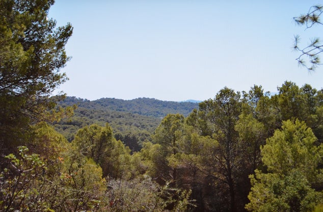 Es crearà el Consell de Participació del Paratge Natural Municipal Romeu com a òrgan col·legiat consultiu, col·laborador i assessor en la gestió del Paratge Natural Municipal. / AJUNTAMENT DE SAGUNT