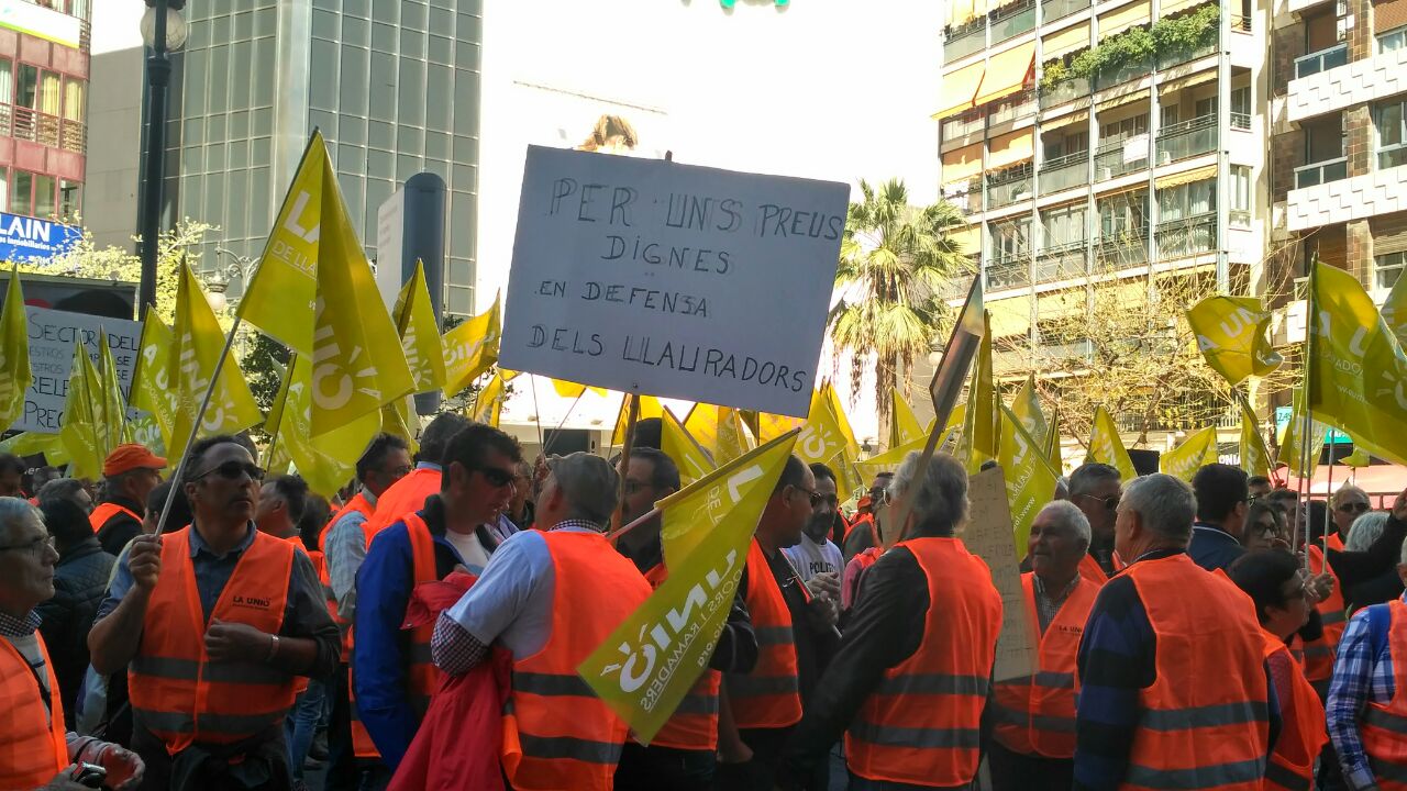 Agricultors i ramaders es concentren davant la Delegació de Govern per a reclamar 'mesures urgents' per a salvar el camp. / DIARI LA VEU