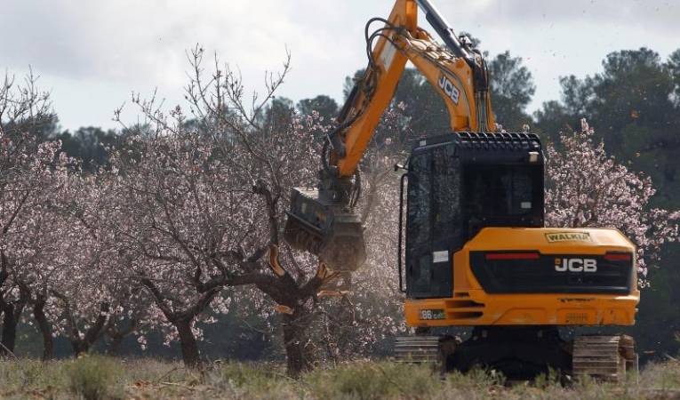 Aquest dijous, l'Associació Professional de Flors, Plantes i Tecnologia Hortícola de la Comunitat Valenciana també va qualificar d''absurd i irresponsable' que el PPCV haja signat aquest 'contracte electoral'. / Imatge d'arxiu.