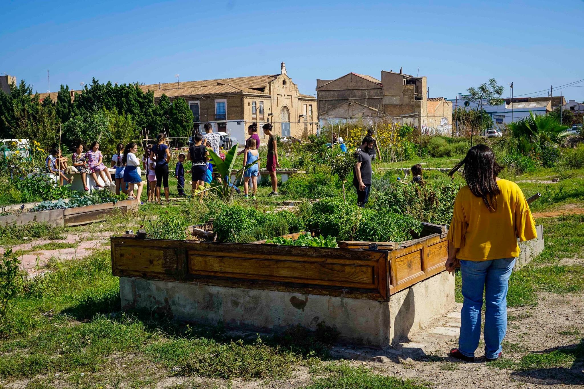 La cinquena i sisena parada de la ruta seran als horts comunitaris agroecològics de Cabanyal-Horta, davant l'edifici del Bloc Portuaris, on es reivindicarà el reconeixement i continuïtat 'd'aquest projecte modèlic'. Imatge d'arxiu. / CABANYAL-HORTA