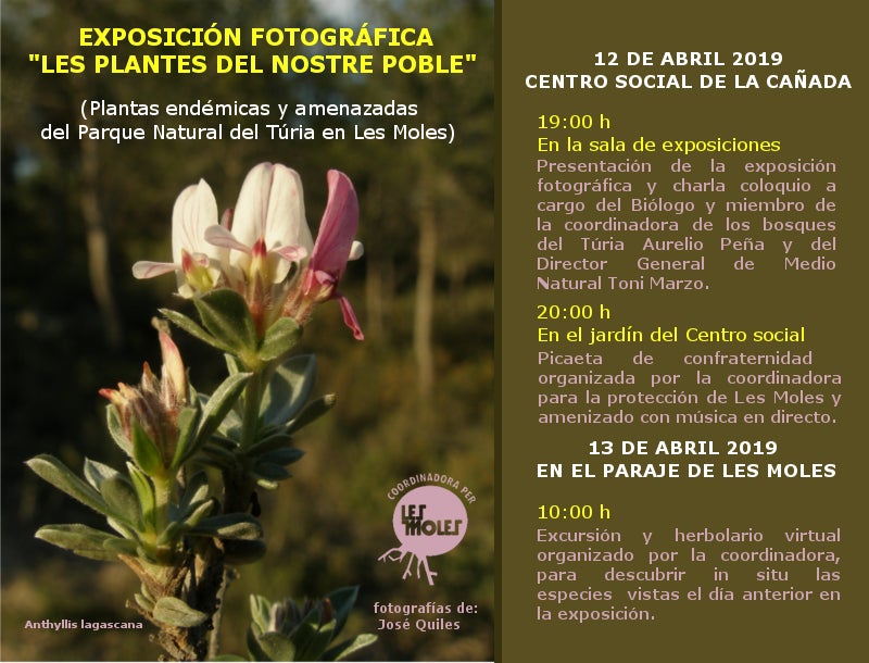 Les Plantes del nostre poble