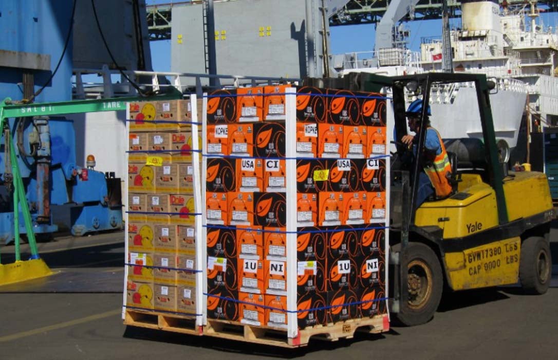 Les associacions agràries han denunciat aquestes darreres setmanes que les pèrdues al camp aquesta campanya han sigut milionàries / LA UNIÓ DE LLAURADORS