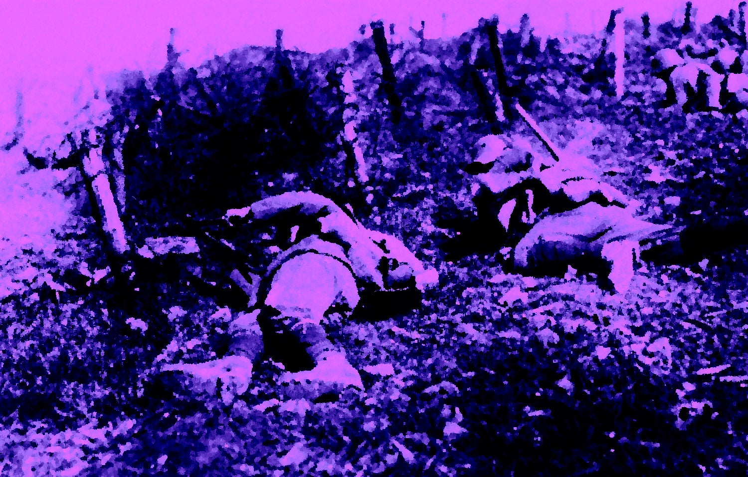 El final de la Gran Guerra i el Dret a Decidir