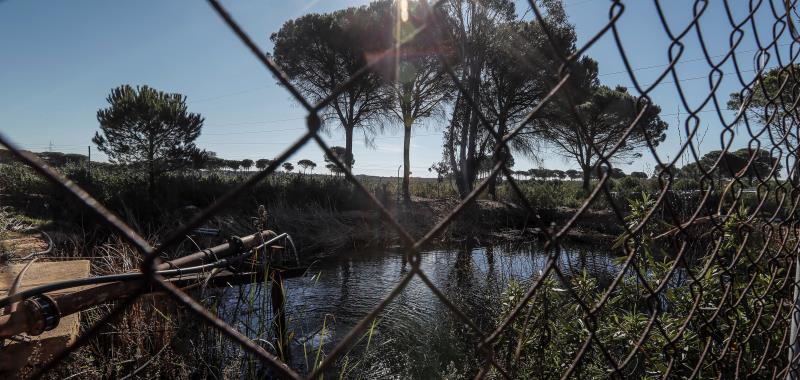 En els informes policials s'indica que la bassa es trobava tancada, correctament barrada i perimetrada. Imatge d'arxiu d'una bassa de reg. / EFE