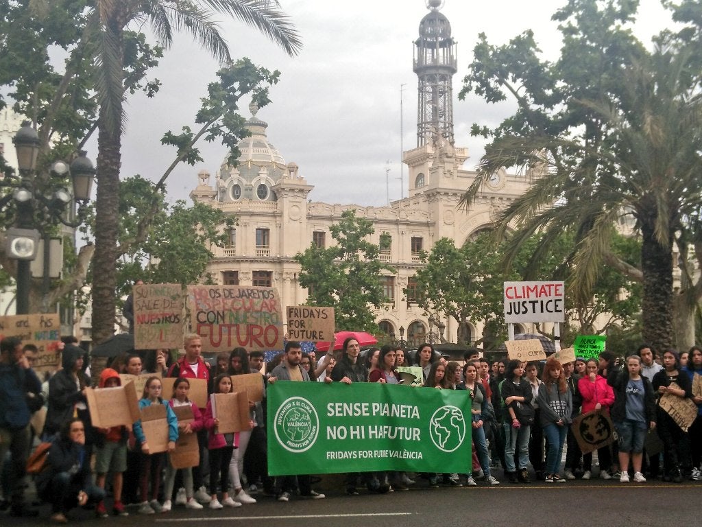 Els manifestants demanen a l'Ajuntament que protegisca els 'dos tresors' mediambientals de la ciutat, com són l'albufera i l'horta. / FRIDAYS FOR FUTURE