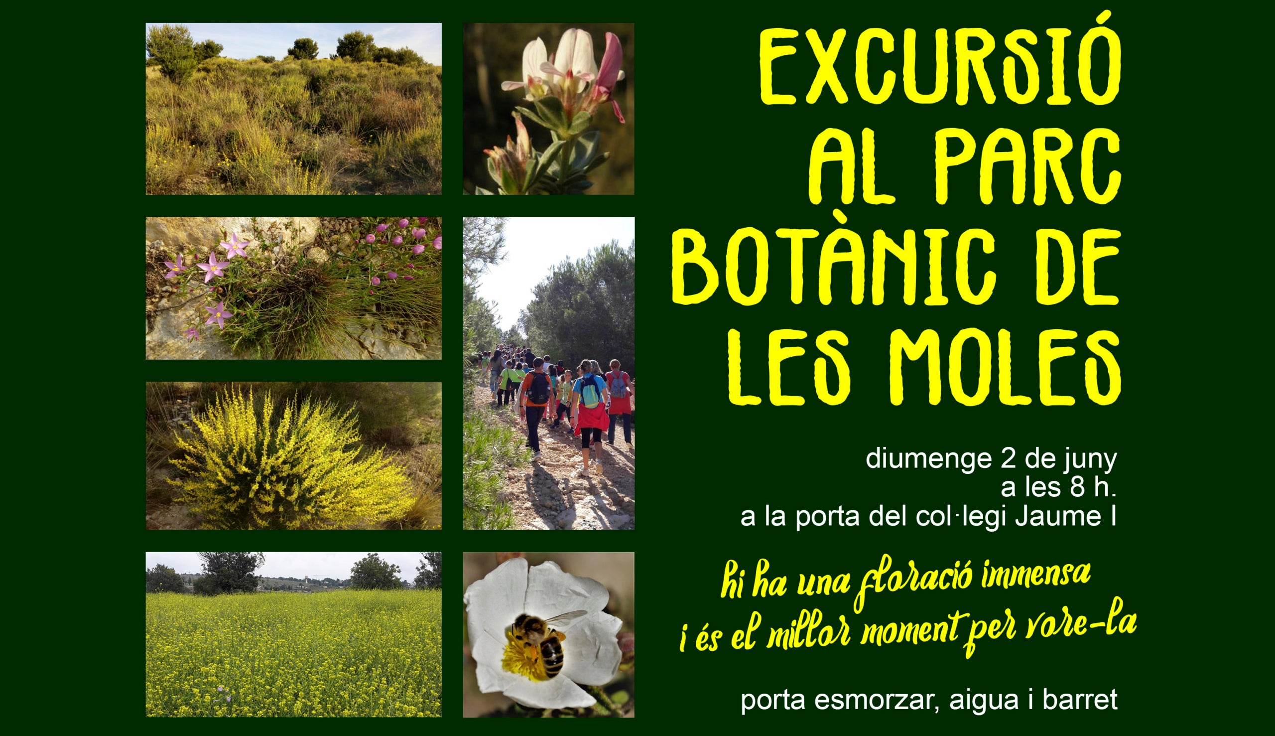 Excursió botànica pel Parc Natural de Les Moles