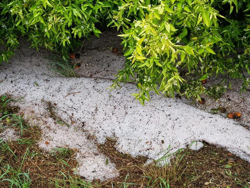 Les tempestes van ser molt localitzades i van afectar diversos termes municipals de la Ribera Alta. / UNIÓ DE LLAURADORS