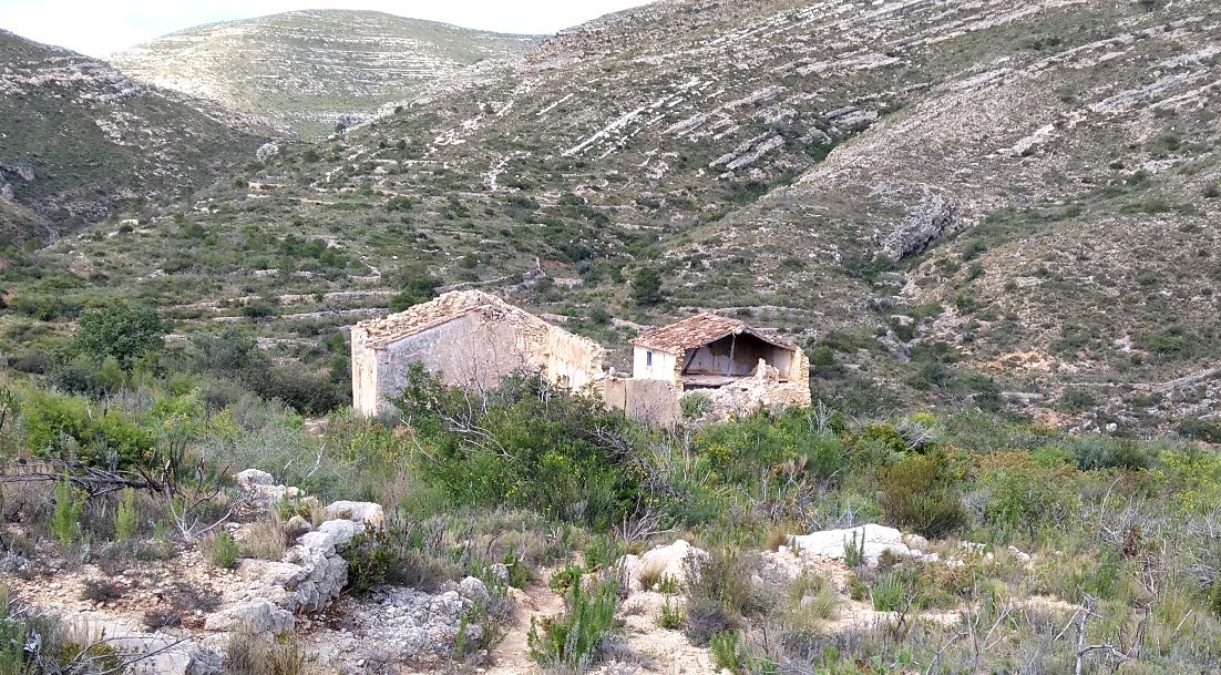 La sèrie analitza com els mitjans van cobrir aquells fets, en especial el programa que va fer Nieves Herrero amb la família i tot el poble d'Alcàsser el mateix dia en què van aparéixer els cossos de les tres joves. Imatge d'arxiu. / DLV