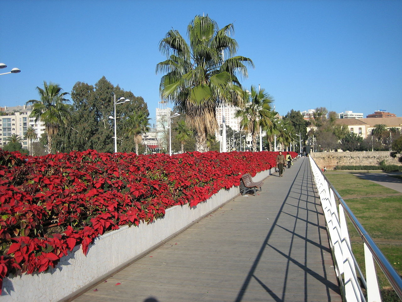 La cita serà el diumenge 23 de juny al Jardí del Túria, entre el pont de les Flors i el pont de l'Exposició, amb horari ininterromput de 10.00h a 15.00h. / SENTO