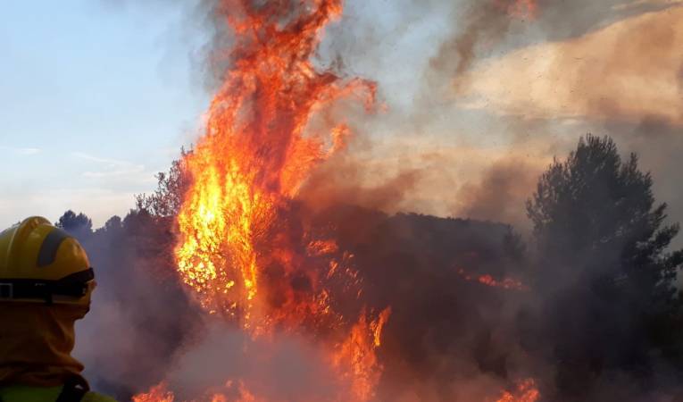 Aemet activa l'avís groc per altes temperatures a tot el País Valencià excepte a l'interior de la demarcació d'Alacant. / GENERALITAT-ARXIU