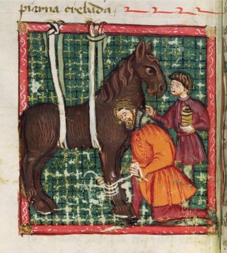 Mossèn Manuel Dies, un cavaller valencià, escrigué un veritable 'best-seller' al segle XV. El 'Llibre de menescalia', llibre de l'art de curar els cavalls. L'escrigué en valencià, en el català del Regne de València, i és l'obra cientificotècnica en català que més ressò tingué a l'edat mitjana i el Renaixement. 